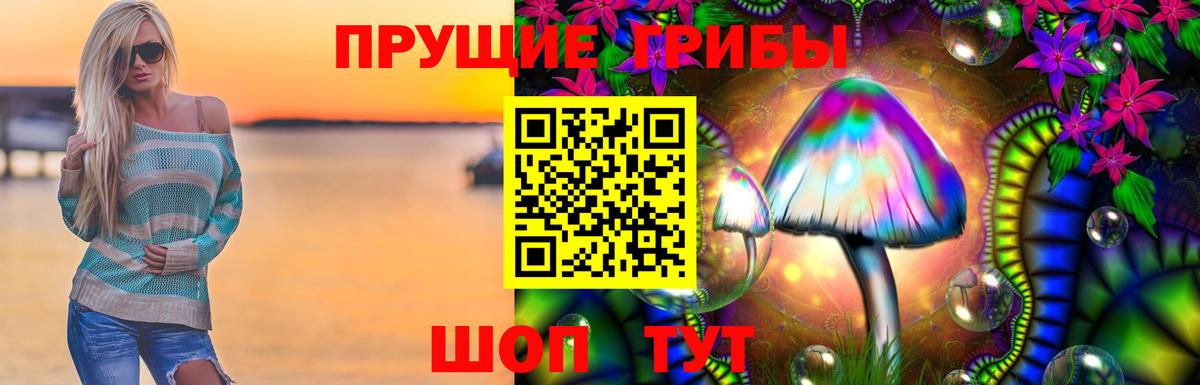 где можно купить наркотик  Вход с VPN  Прохладный  Галлюциногенные грибы Magic Shrooms 