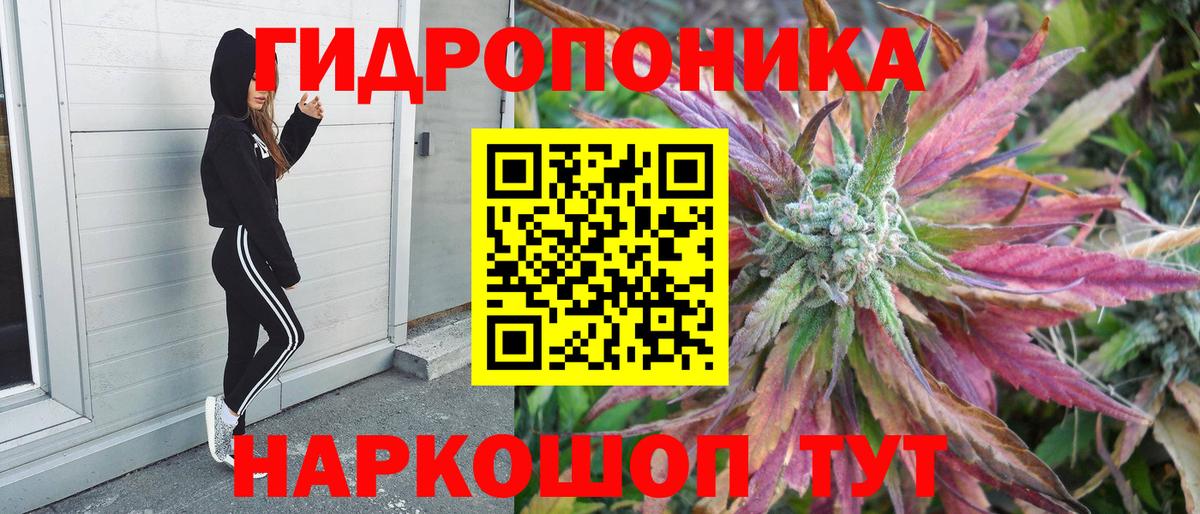 Прохладный  Бошки Шишки THC 21%  Каннабис VHQ  Вход с VPN  Канабис семена  Шишки марихуана семена 